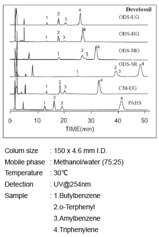 5d560802f06fe.png 1.png